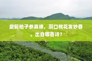 庭前柏子参真谛，洞口桃花发妙香。出自哪首诗？