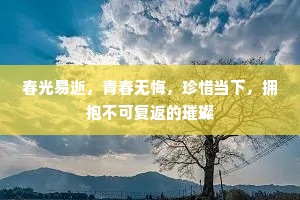 春光易逝，青春无悔，珍惜当下，拥抱不可复返的璀璨