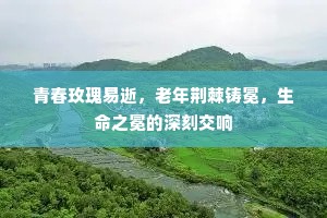 青春玫瑰易逝，老年荆棘铸冕，生命之冕的深刻交响