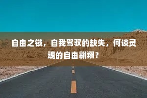 自由之锁，自我驾驭的缺失，何谈灵魂的自由翱翔？