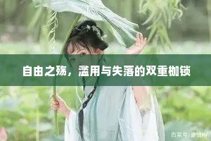 自由之殇，滥用与失落的双重枷锁