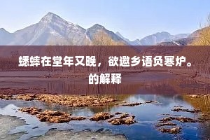 蟋蟀在堂年又晚，欲邀乡语负寒炉。的解释