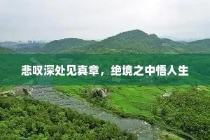 悲叹深处见真章，绝境之中悟人生