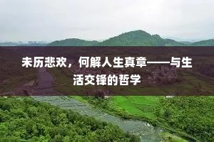 未历悲欢，何解人生真章——与生活交锋的哲学