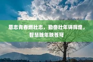 意志青春燃壮志，勤奋壮年铸辉煌，智慧晚年映苍穹