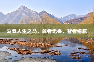 驾驭人生之马，勇者无畏，智者细腻