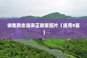 销售励志语录正能量图片（通用8篇）