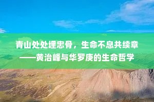 青山处处埋忠骨，生命不息共续章——黄治峰与华罗庚的生命哲学