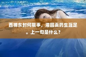 西禅东封何限事，灌园卖药生涯足。上一句是什么？
