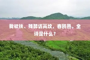 我欲扶、残醉访高坟，春鸥熟。全诗是什么？