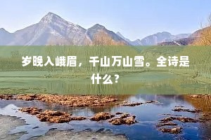 岁晚入峨眉，千山万山雪。全诗是什么？