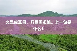 久思废耳目，乃复困观瞻。上一句是什么？