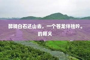 醉骑白石还山去，一个苍龙伴独吟。的释义