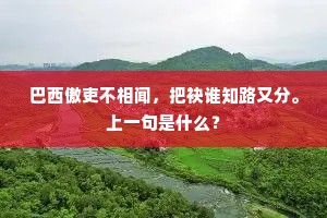 巴西傲吏不相闻，把袂谁知路又分。上一句是什么？