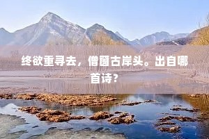 终欲重寻去，僧窗古岸头。出自哪首诗？