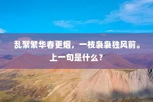 乱絮繁华春更烟，一枝袅袅独风前。上一句是什么？