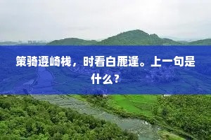 策骑遵崎栈，时看白鹿逢。上一句是什么？