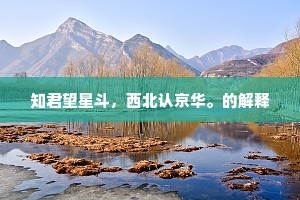 知君望星斗，西北认京华。的解释