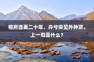 相府违离二十年，弁兮突见外孙贤。上一句是什么？