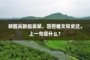故因高韵如袁粲，岂但雄文似史迁。上一句是什么？