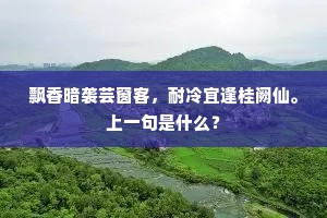 飘香暗袭芸窗客，耐冷宜逢桂阙仙。上一句是什么？