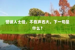 譬彼人士佳，不在声名大。下一句是什么？