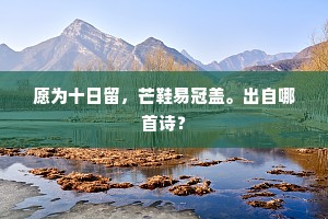 愿为十日留，芒鞋易冠盖。出自哪首诗？