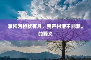 衰柳河桥犹有月，荒芦村港不能潮。的释义