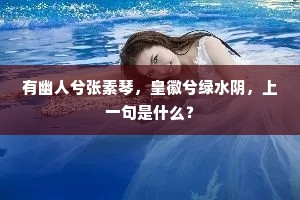 有幽人兮张素琴，皇徽兮绿水阴，上一句是什么？