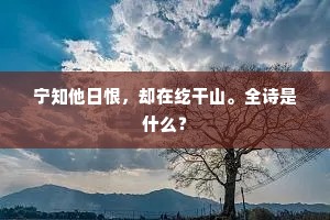 宁知他日恨，却在纥干山。全诗是什么？