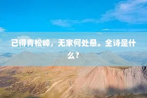 已得青松嶂，无家何处悬。全诗是什么？