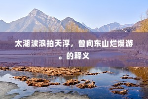 太湖波浪拍天浮，曾向东山烂熳游。的释义