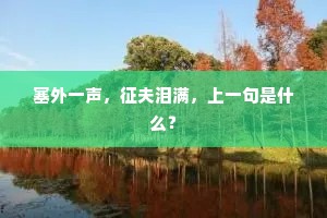 塞外一声，征夫泪满，上一句是什么？