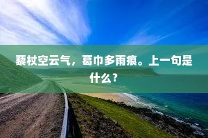 藜杖空云气，葛巾多雨痕。上一句是什么？