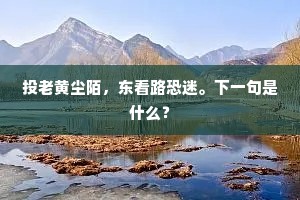 投老黄尘陌，东看路恐迷。下一句是什么？