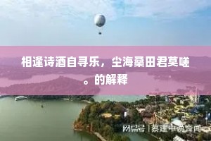 相逢诗酒自寻乐，尘海桑田君莫嗟。的解释