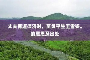 丈夫有道须济时，莫负平生玉雪姿。的意思及出处