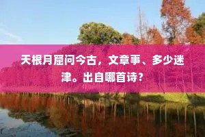 天根月窟问今古，文章事、多少迷津。出自哪首诗？
