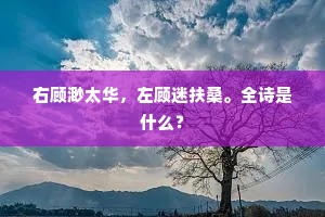 右顾渺太华，左顾迷扶桑。全诗是什么？