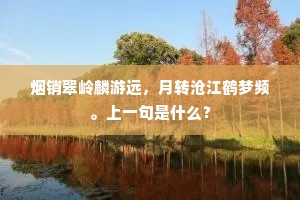 烟销翠岭麟游远，月转沧江鹤梦频。上一句是什么？