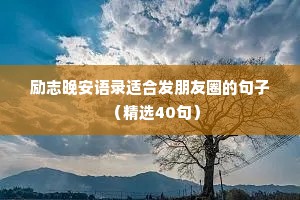 励志晚安语录适合发朋友圈的句子（精选40句）