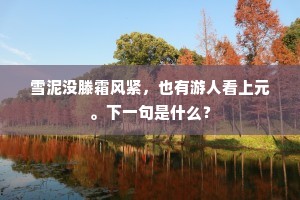 雪泥没滕霜风紧，也有游人看上元。下一句是什么？