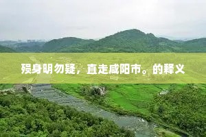 殒身明勿疑，直走咸阳市。的释义