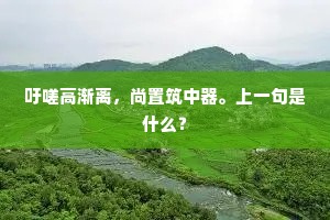 吁嗟高渐离，尚置筑中器。上一句是什么？