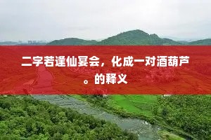 二字若逢仙宴会，化成一对酒葫芦。的释义