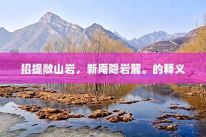 招提敞山岩，新庵隐岩麓。的释义
