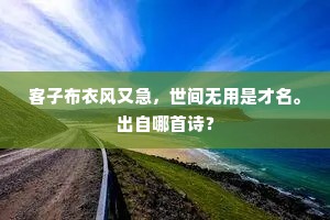 客子布衣风又急，世间无用是才名。出自哪首诗？