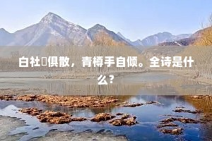 白社蘋俱散，青樽手自倾。全诗是什么？