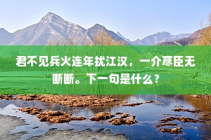 君不见兵火连年扰江汉，一介荩臣无断断。下一句是什么？