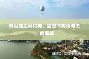 奔军知是何鸡狗，坐想飞将张与关。的解释
